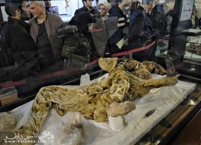 راز مرگ مردان نمکی در موزه زنجان چیست؟