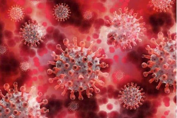 علائم کرونای جهش یافته انگلیسی ، فرایند افزایشی گردش ویروس در کشور