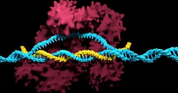توسعه سیستم اصلاح ژنوم با یاری یک کارت حافظه ژنتیکی